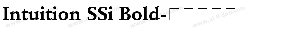 Intuition SSi Bold字体转换
